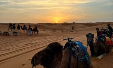 navigate morocco