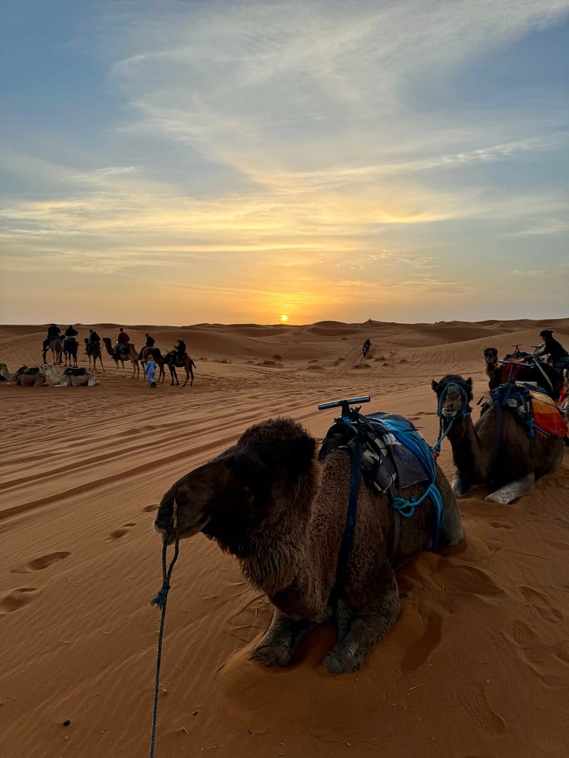 navigate morocco